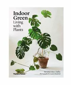 Open Room Indoor Green: Living With Plants