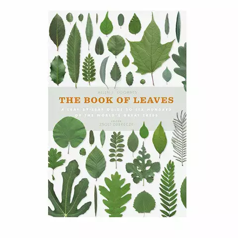 Open Room Book Of Leaves