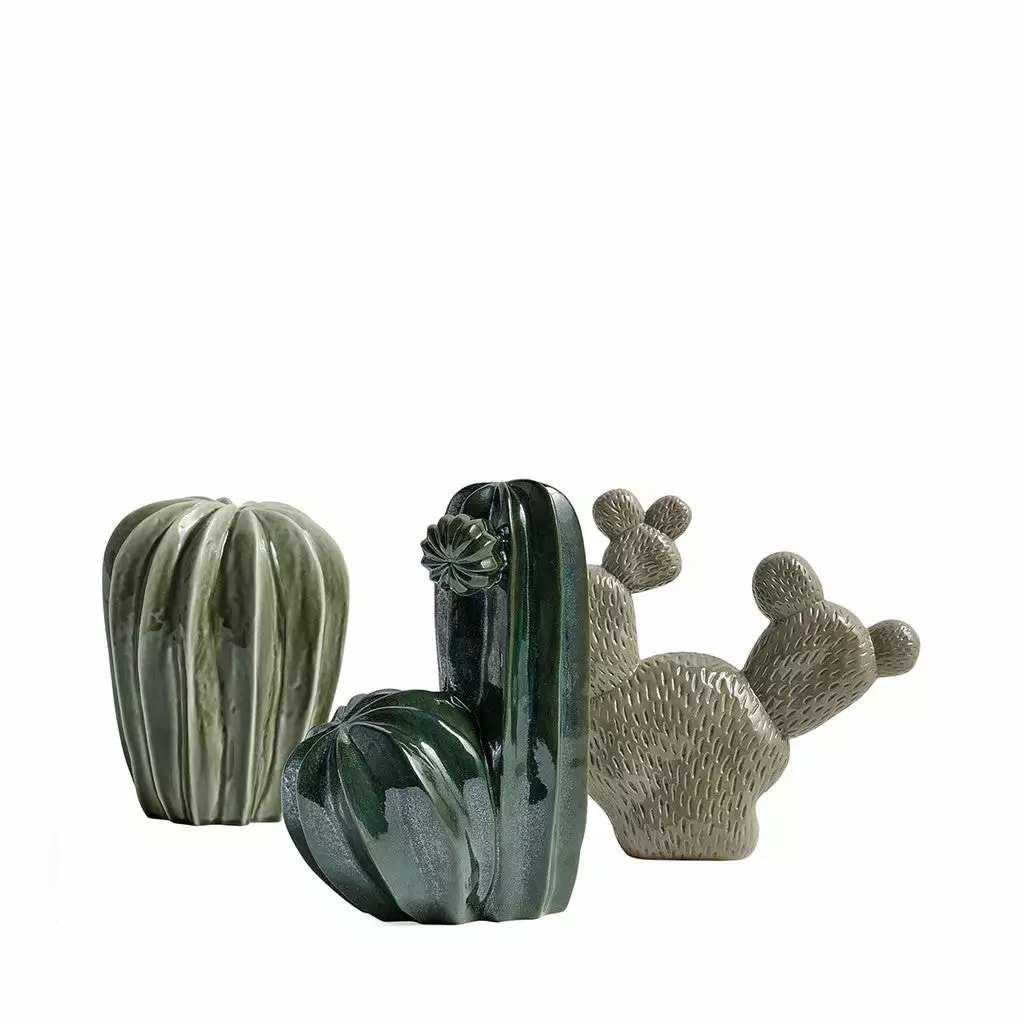 Cacti Uno, Green For HAY - Image 2