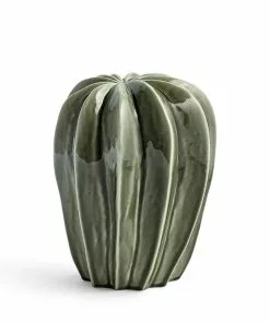 Cacti Uno, Green For HAY