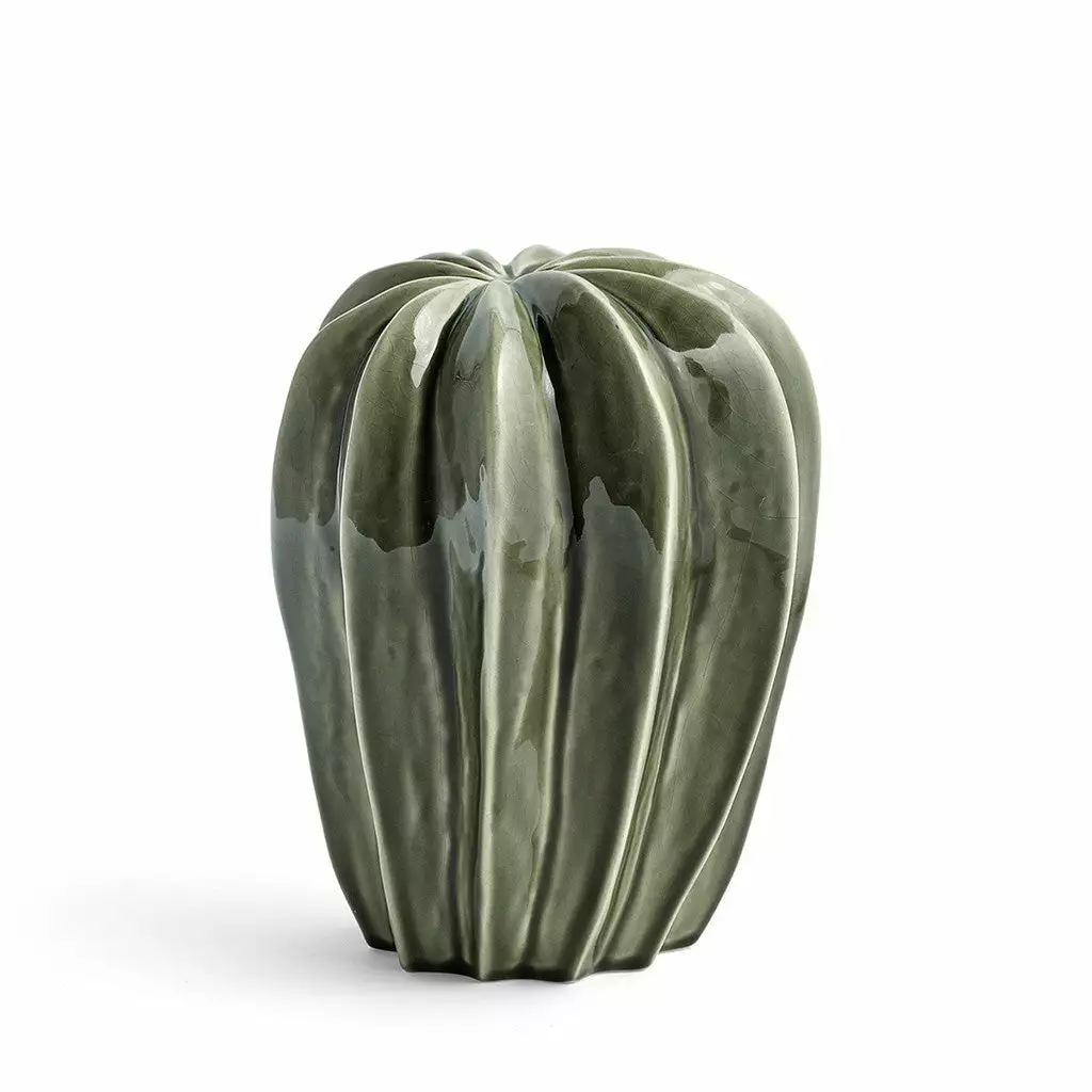 Cacti Uno, Green For HAY