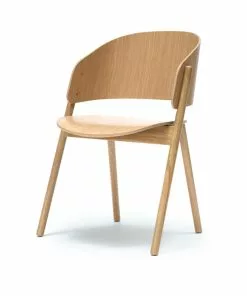 Feelgood Chameleon Chair By Allan Nøddebo